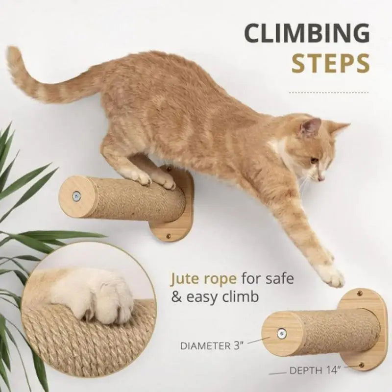 ClawLounge™ Kattenplank & Muurhangmat – Massief Hout & Sisaltouw Klimtreden voor Binnenkatten