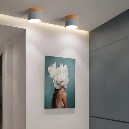 LumiCyl – Vintage LED Plafondlamp