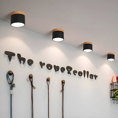 LumiCyl – Vintage LED Plafondlamp