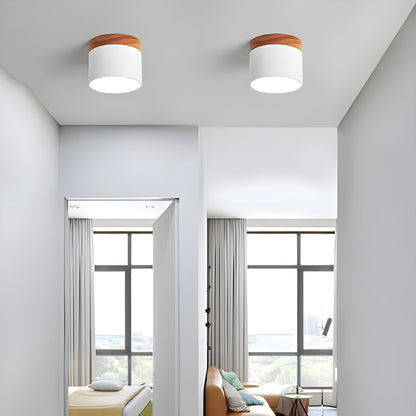 LumiCyl – Vintage LED Plafondlamp