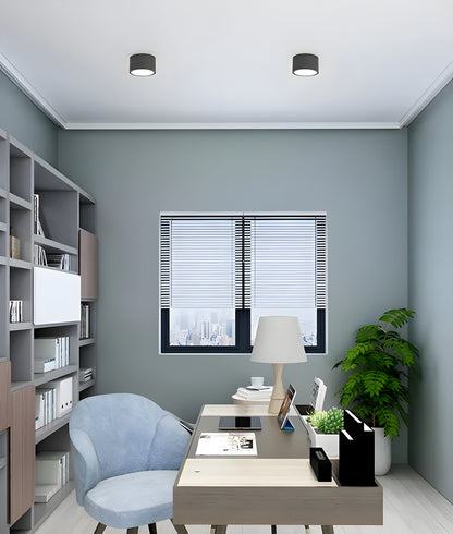 LumiCyl – Vintage LED Plafondlamp