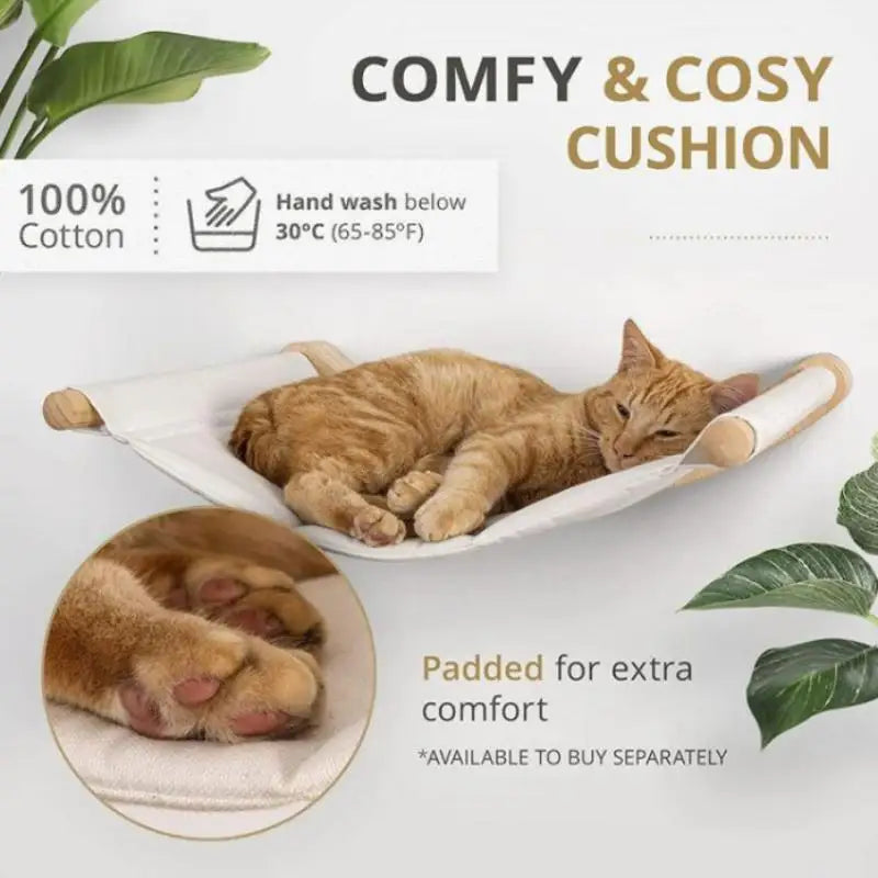 ClawLounge™ Kattenplank & Muurhangmat – Massief Hout & Sisaltouw Klimtreden voor Binnenkatten